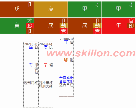 Coronavirus Patient nCoV COVID-19 八字 BaZi Four Pillars of Destiny Patt Chee